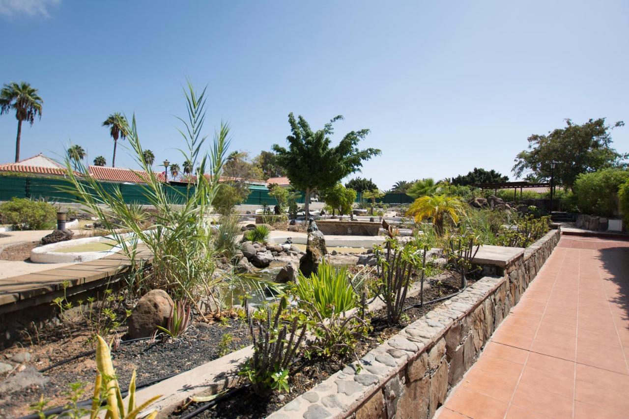 Serenity Garden Apartment