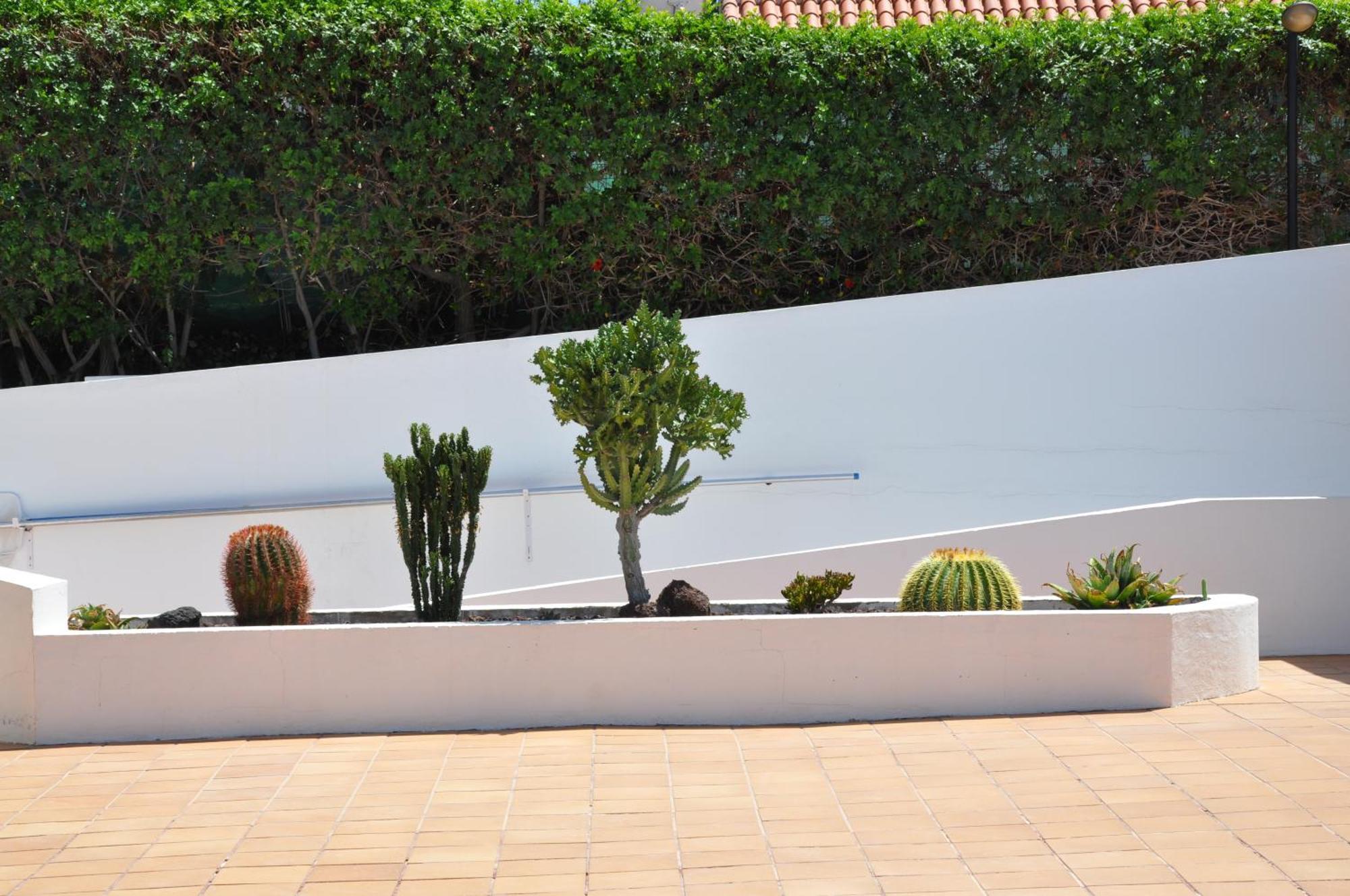 Apartment Serenity Garden Maspalomas (Gran Canaria)