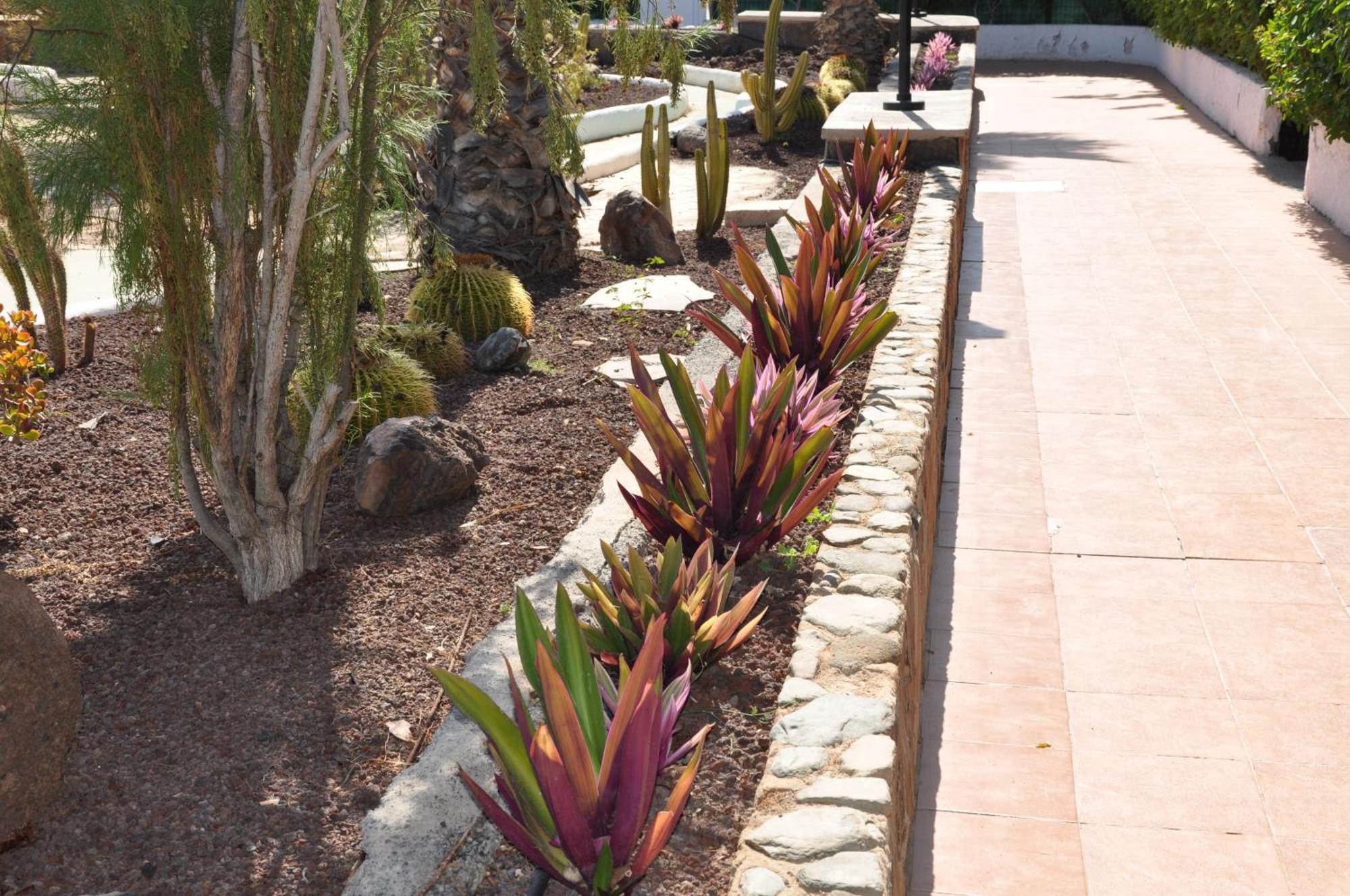 Apartment Serenity Garden