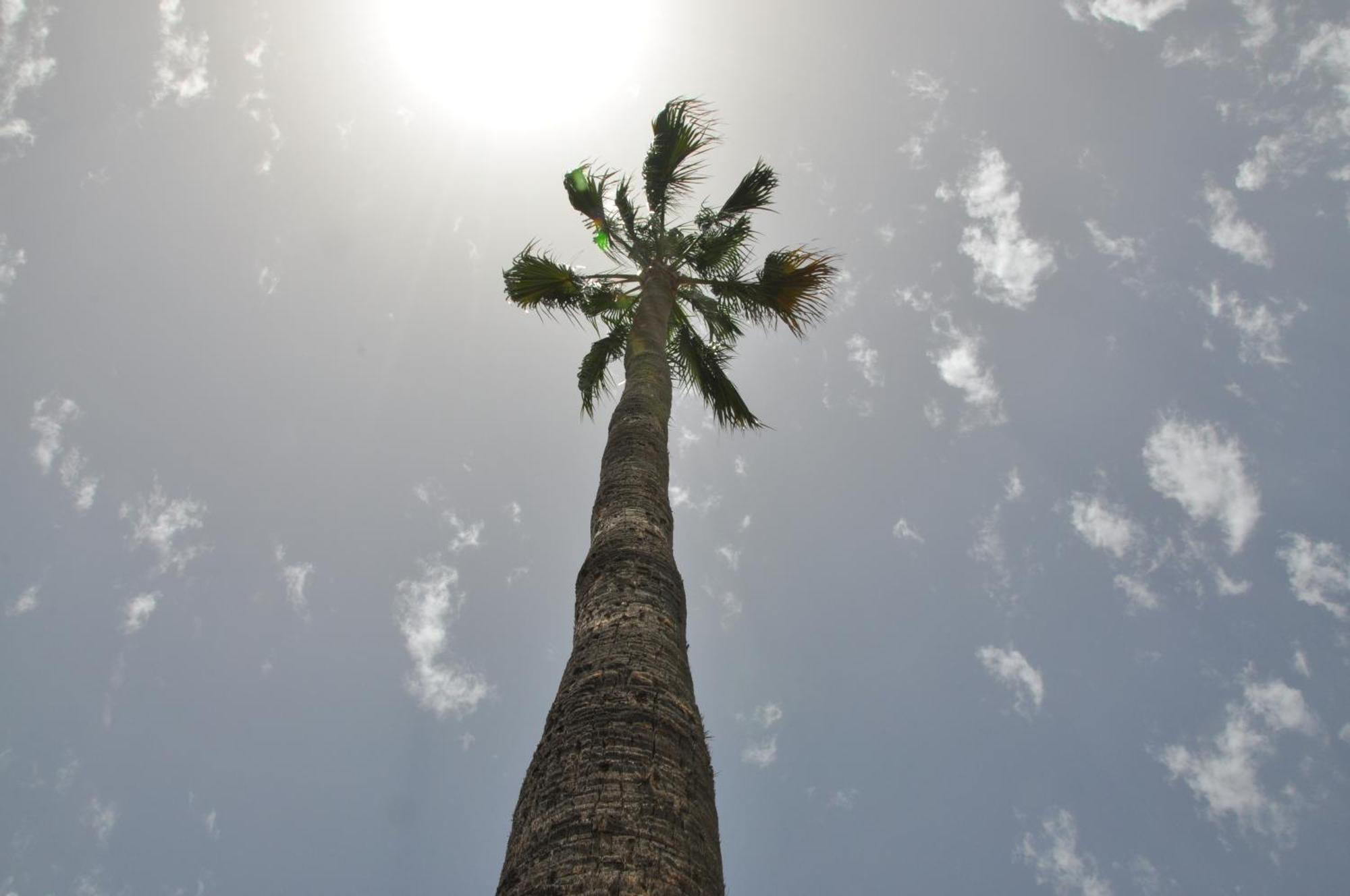 Serenity Garden * Maspalomas (Gran Canaria)