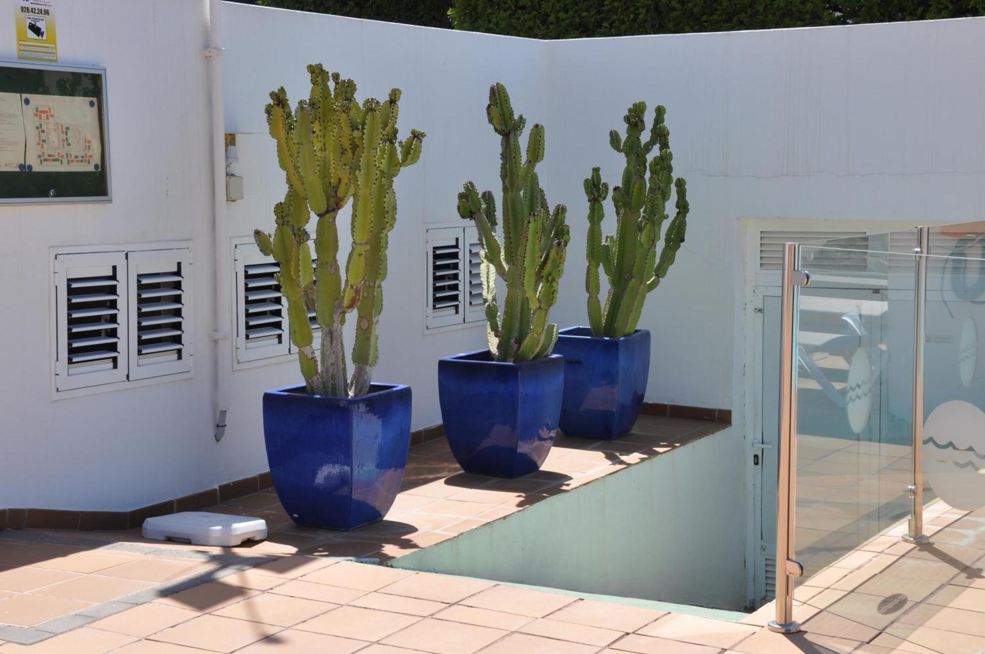 Serenity Garden Maspalomas (Gran Canaria)