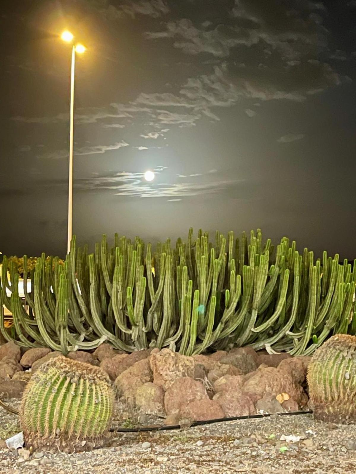 Serenity Garden Apartment Maspalomas (Gran Canaria)
